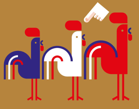 Cockerels